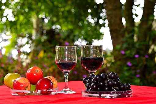 怎样的健康科学方法才是适量饮用葡萄酒的好方法呢？
