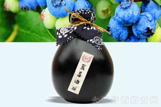 12°黄氏花果酒价格黄氏蓝莓酒低度果酒500ml价格，多少钱？