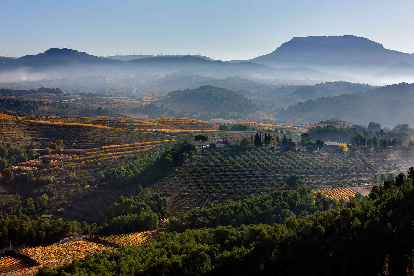 玛吉尔庄园,瓶中的普里奥拉托风土