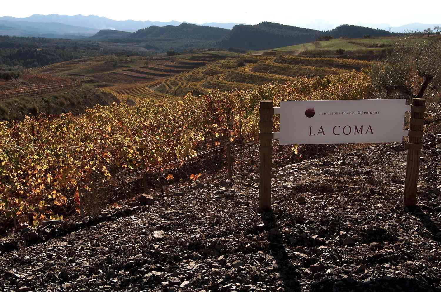 玛吉尔庄园,瓶中的普里奥拉托风土