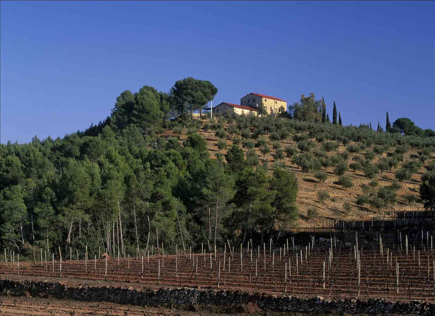 玛吉尔庄园,瓶中的普里奥拉托风土