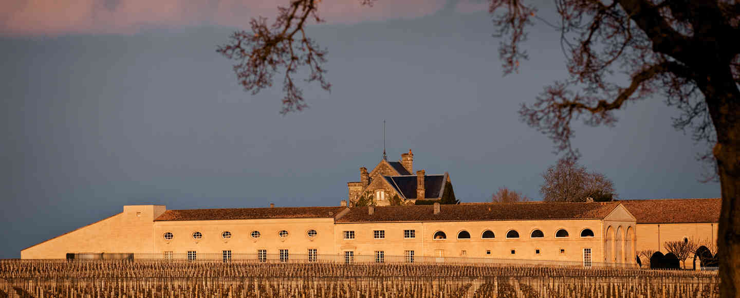 木桐不变,艺术永恒