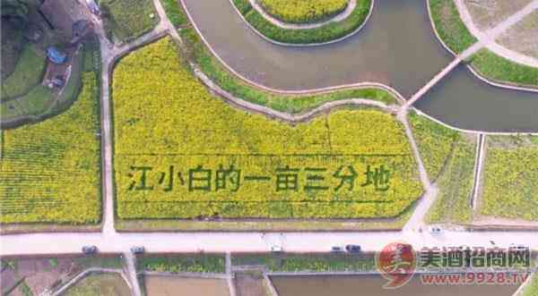 好喝的水果味江小白刷屏，中国酒的潮流变成了一种循环