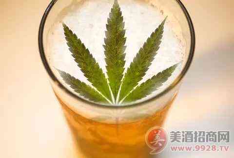 赌你一定没试过的三种啤酒新喝法_华体会体育正规网
网