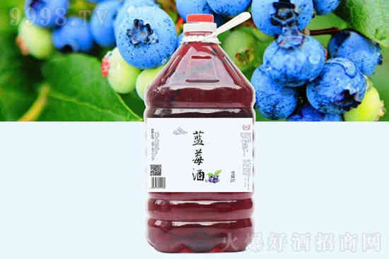 12°黄氏花果酒价格黄氏杨梅酒低度花果酒5L价格，多少钱？