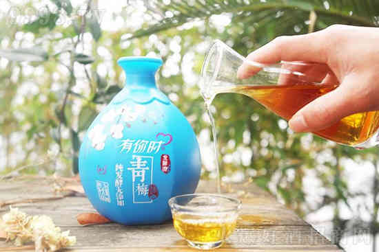 12°黄氏花果酒价格有你时青梅果酒500ml价格，多少钱？