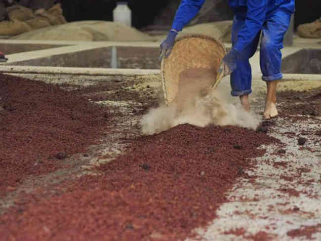 茅之赋