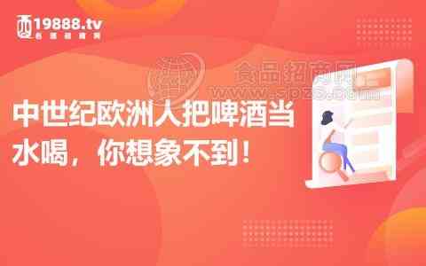 风花雪月啤酒价格表