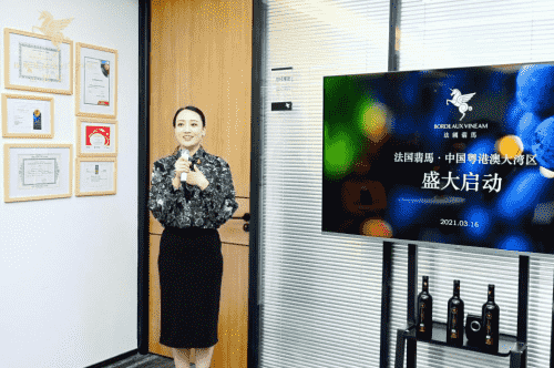 法国翡马·粤港澳大湾区盛大启动！