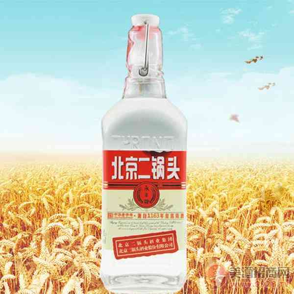 永丰二锅头
