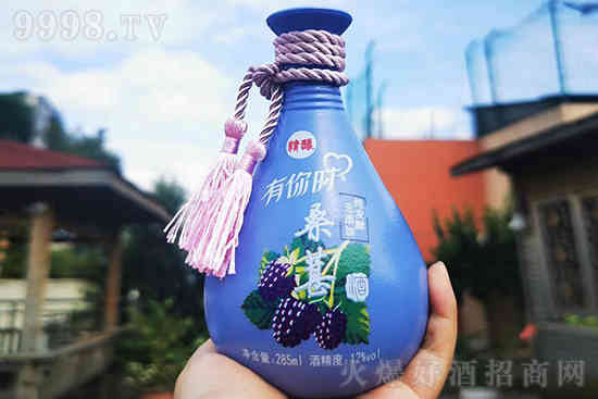 12°黄氏花果酒价格 黄氏有你时桑葚酒 低度花果酒285ml价格，多少钱？