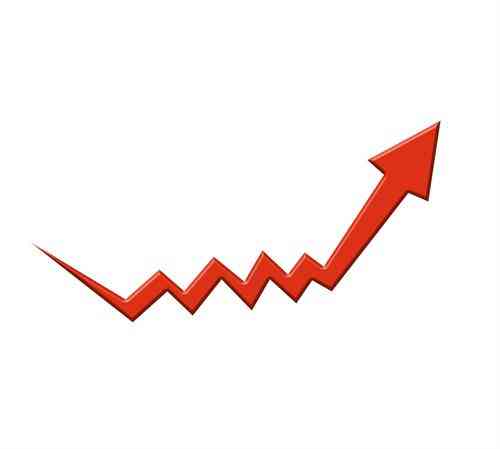 顺鑫农业业绩增长乏力 年度利润大幅缩水48％