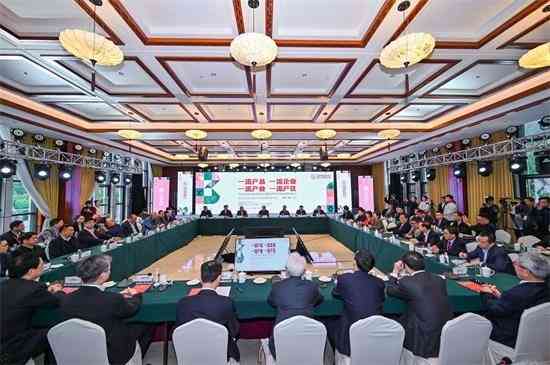 钟方达：跑出“加速度”的习酒，将向更高目标迈进