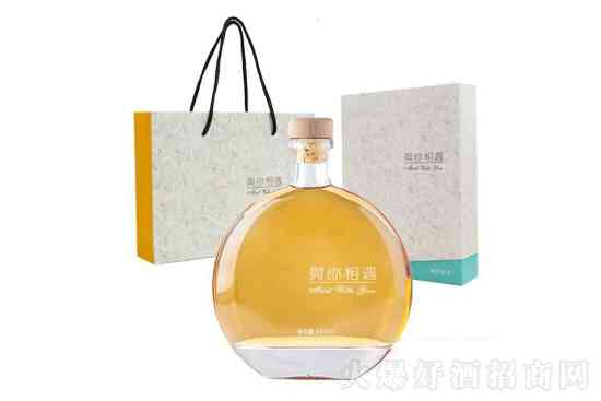 与你相遇南果梨酒颜值酒微醺酒新年礼物酒