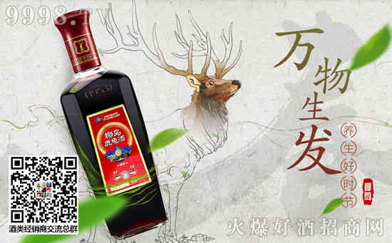 椰岛鹿龟酒多少钱一瓶，椰岛鹿龟酒价格表