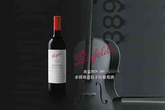 奔富（Penfolds）Bin389
