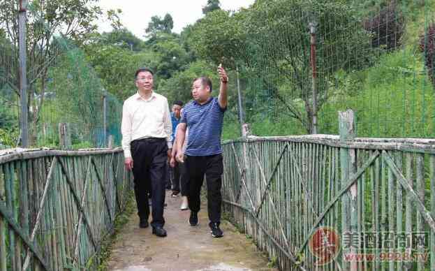 李保芳到仁怀大坝调研有机高粱基地建设和乡村经济发展_华体会体育正规网
网