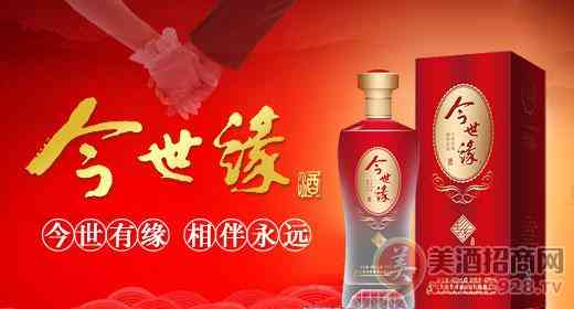 今世缘酒