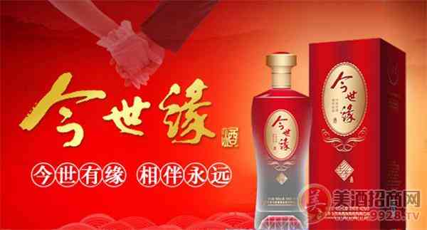 今世缘酒