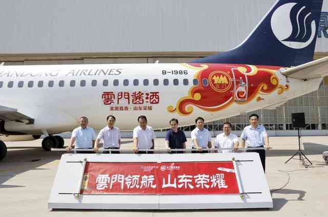 “云门领航·山东荣耀”山东航空“云门号”冠名飞机圆满交付