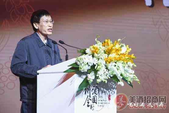 工业和信息化部消费品工业司司长高延敏