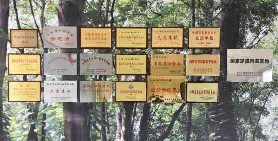 他们守护大山25年，研发的起泡酒10年后一夕走红市场