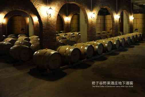 他们守护大山25年，研发的起泡酒10年后一夕走红市场