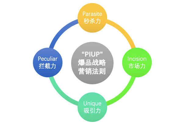 爆品战略法则