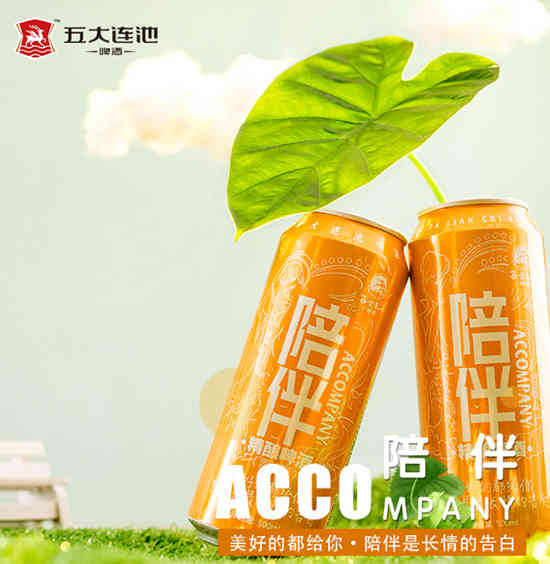 五大连池陪伴精酿啤酒500ml价格，多少钱？