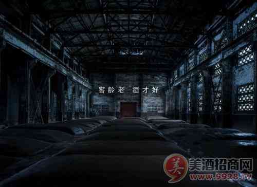 百年泸州老窖窖龄酒
