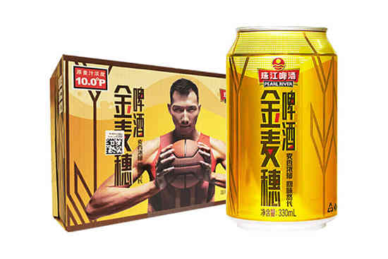珠江啤酒 金麦穗