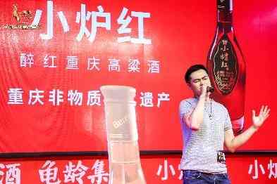 小炉红高粱酒独家冠名《中国好声音》重庆江北区决赛