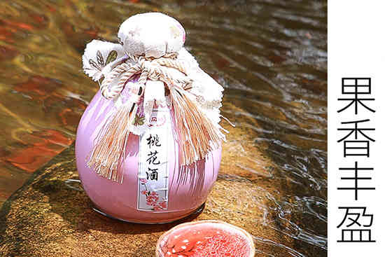 贵风特微醺果酒