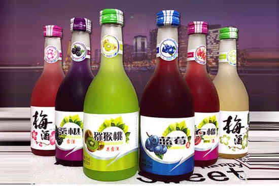 圣雪山梅酒蓝莓石榴猕猴桃桑葚梅子酒组合装果露酒
