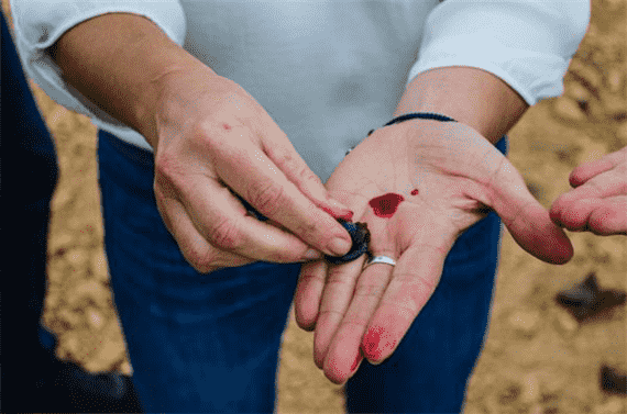 “骑兵传奇”明星葡萄酒