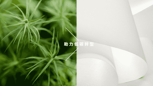 芬欧蓝泰标签发布全新可持续发展故事主线，助力行业低碳转型