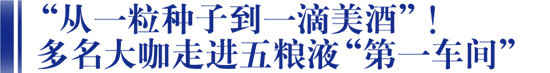 从一粒种子到一滴美酒，透视五粮液产品力不断提升的“底层逻辑”