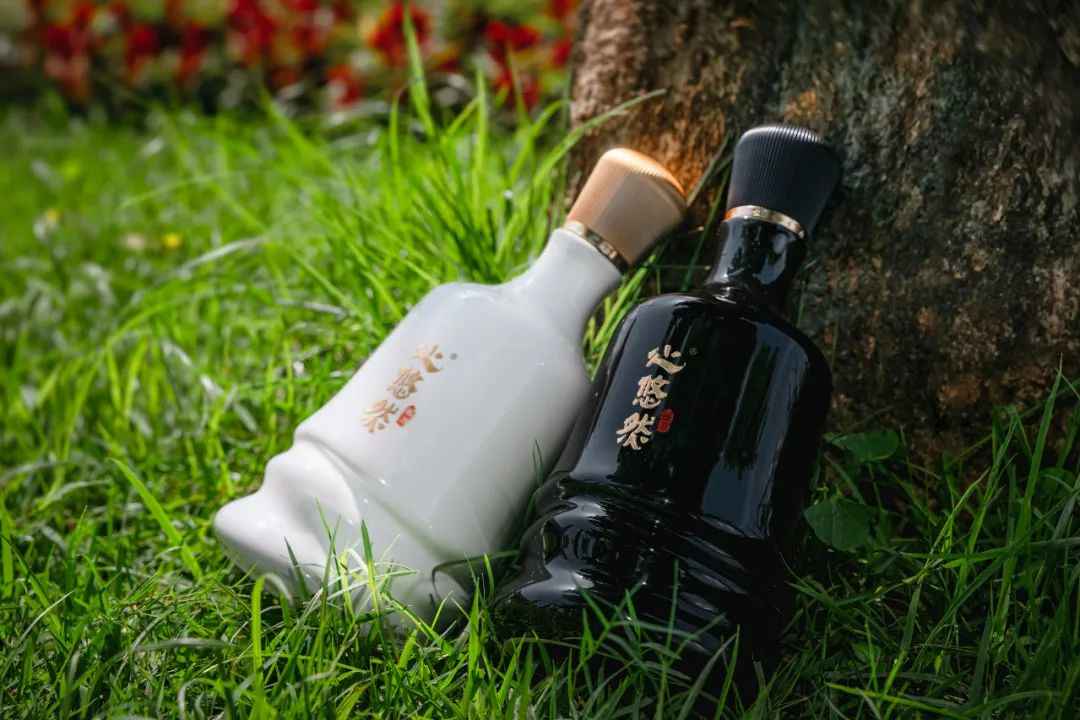 “共生共享 向新向前”小糊涂仙酒业集团优秀合作伙伴战略峰会举行