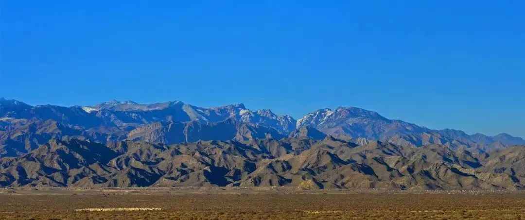 天鹅集团在宁夏贺兰山东麓产区将有着怎样的计划和市场布局，这次发布的新品又有哪些创新之处？