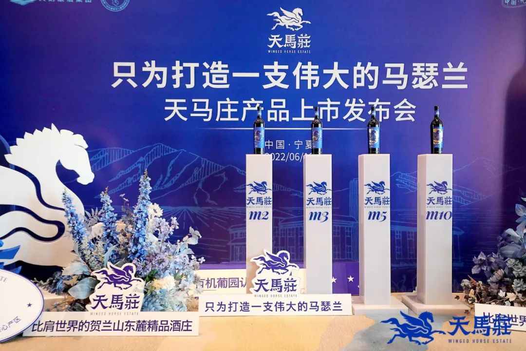 鹅酿酒集团新品：蓝色马品牌
