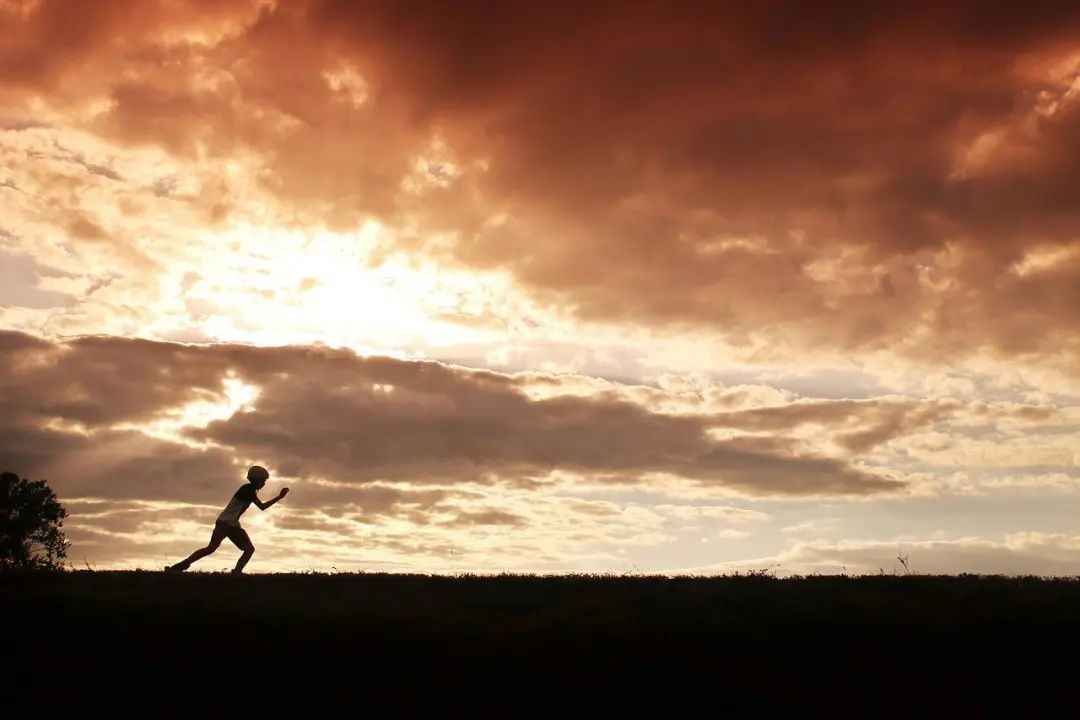 武汉白酒市场调研：都开始亏房租了！