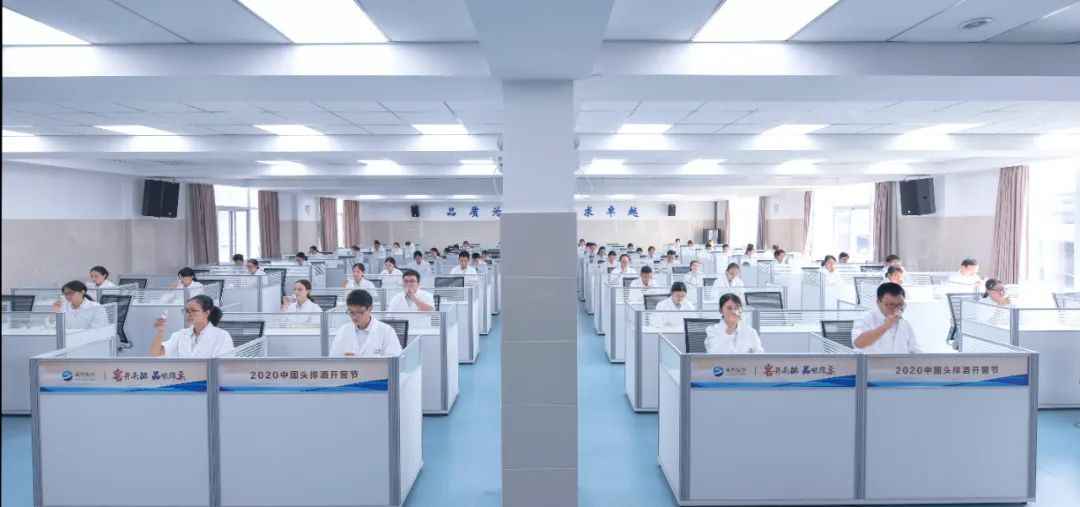 全国品酒师大赛前10名，为什么洋河可以占一多半