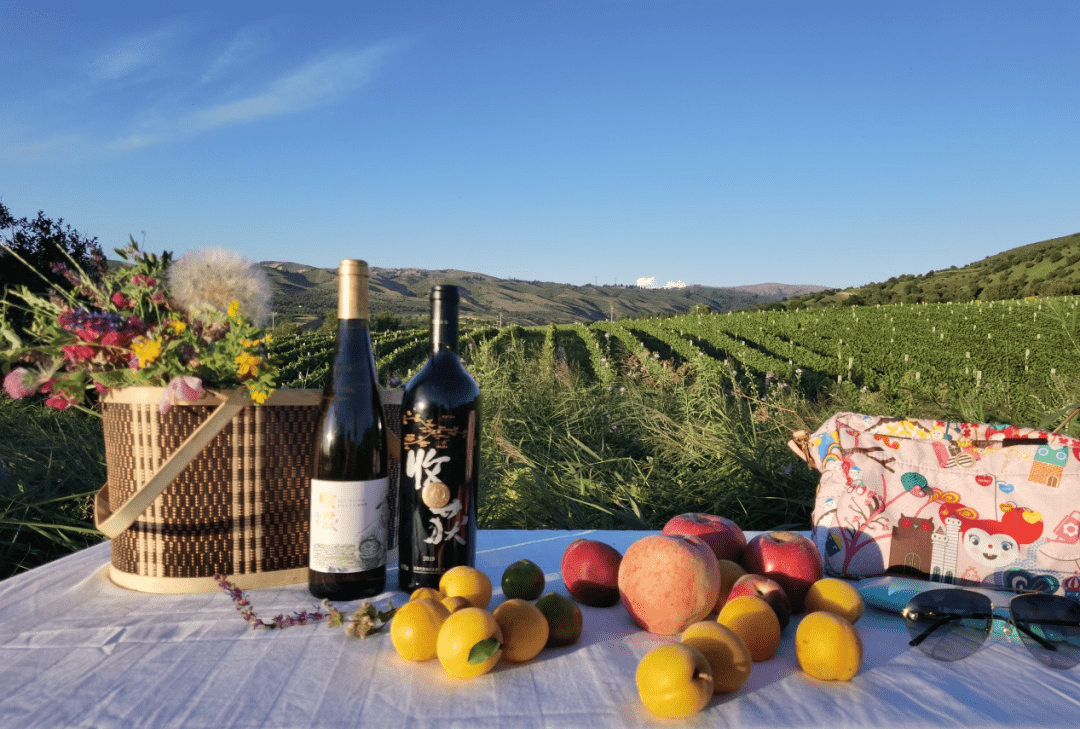 丝路酒庄为何被称为冉冉升起的明星？