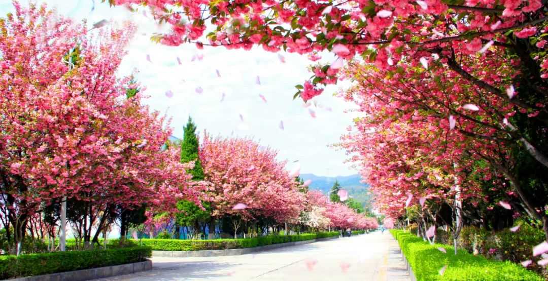 金徽酒营收、利润双增长的亮点，从何而来？