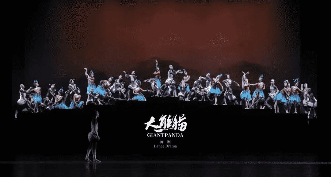 全兴之夜×《大熊猫》舞剧，让世界看见“成都名片”