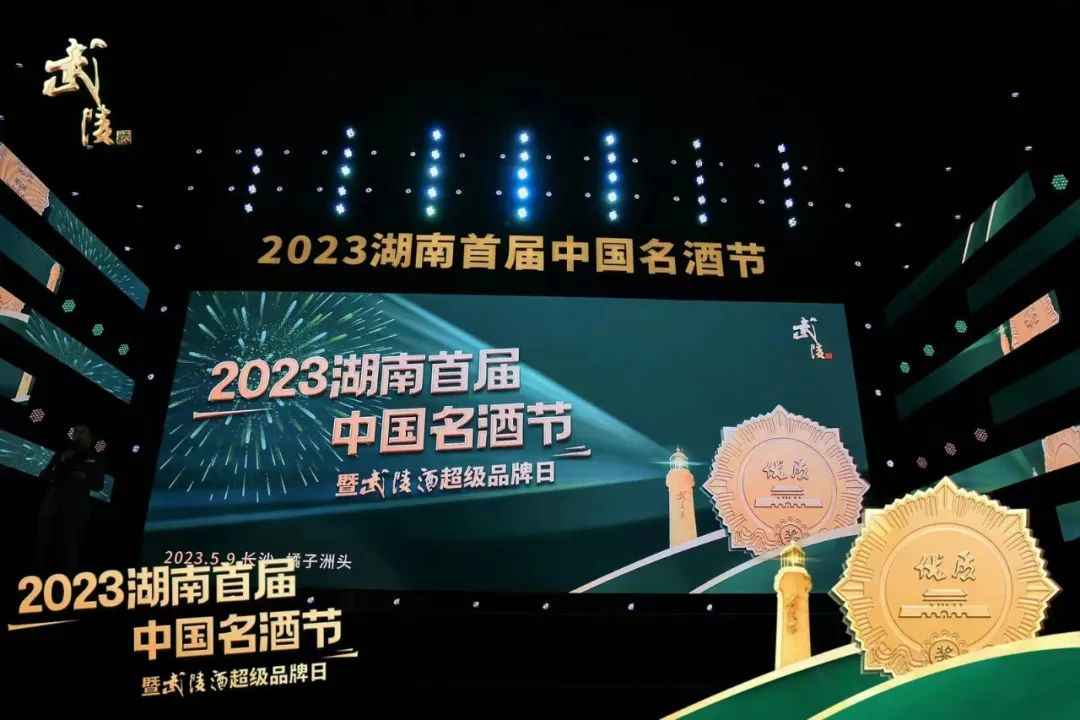 武陵超级品牌日释放什么样的未来发展战略？