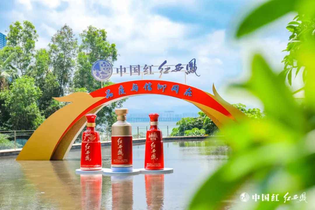 红西凤“革新”，系列化助推全国化
