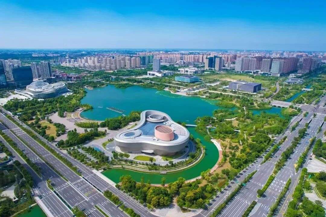 今年开窖节金种子准备的活动中有哪些看点呢？