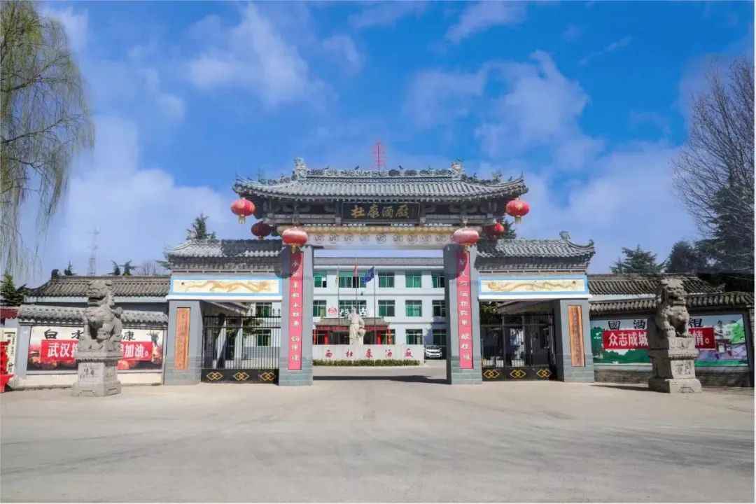 践行高质量发展战略，白水杜康唱响“大国清香”
